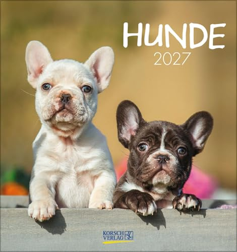 Hunde 2027: aufstellbarer Postkartenkalender
