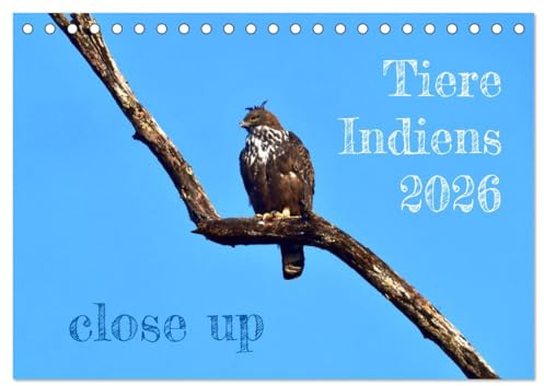 Tiere Indiens close up (Tischkalender 2026 DIN A5 quer), CALVENDO Monatskalender: Auge in Auge mit Wildtieren Indiens (CALVENDO Tiere)