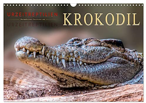 Urzeitreptilien - Krokodil (Wandkalender 2026 DIN A3 quer), CALVENDO Monatskalender: Beeindruckende Tiere mit unbändiger Kraft. (CALVENDO Tiere)