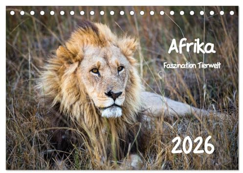 Afrika - Faszination Tierwelt (Tischkalender 2026 DIN A5 quer), CALVENDO Monatskalender (CALVENDO Tiere)
