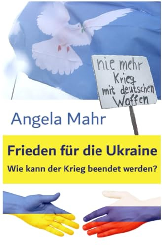 Frieden für die Ukraine: Wie kann der Krieg beendet werden?