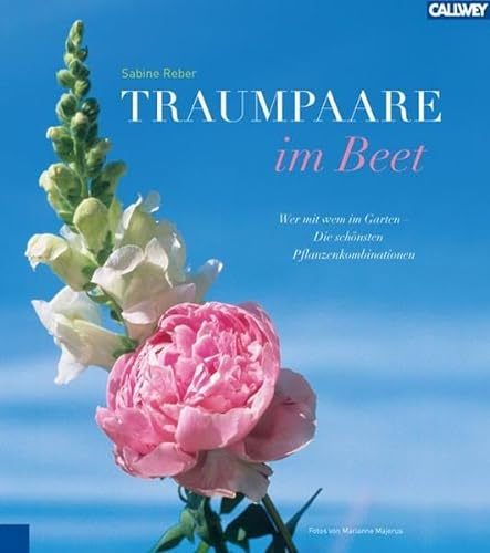 Traumpaare im Beet: Wer mit wem im Garten – die schönsten Pflanzkombinationen