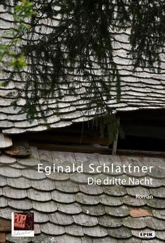 Die dritte Nacht: Roman (Epik)