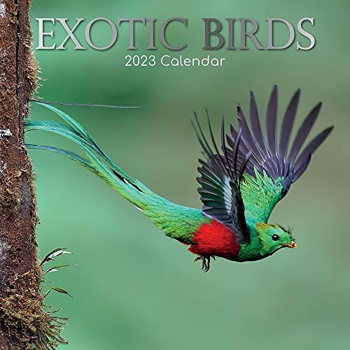 Exotik Birds – Exotische Vögel 2023 – 16-Monatskalender: Original Gifted Stationery-Kalender [Mehrsprachig] [Kalender] (Wall-Kalender)