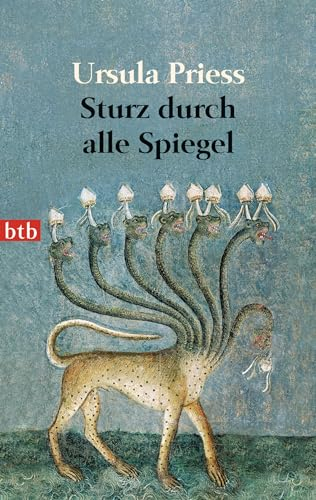 Sturz durch alle Spiegel: Eine Bestandsaufnahme
