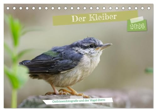 Der Kleiber - Ostfriesenfotografie und der Vogel-Zorro (Tischkalender 2026 DIN A5 quer), CALVENDO Monatskalender: Der Zorro unter den Vögeln zeigt sich von seiner besten Seite. (CALVENDO Tiere)
