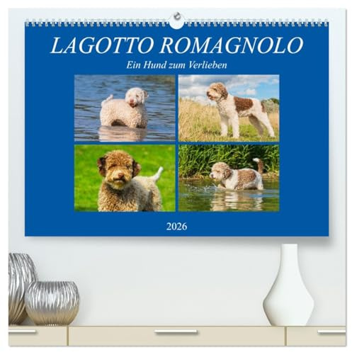 Lagotto Romagnolo - Ein Hund zum Verlieben (hochwertiger Premium Wandkalender 2026 DIN A2 quer), Kunstdruck in Hochglanz: Der Lagotto Romagnolo auf 13 zauberhaften Kalenderblättern (CALVENDO Tiere)