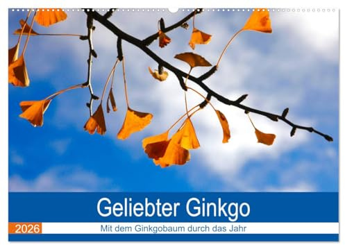Geliebter Ginkgo (Wandkalender 2026 DIN A2 quer), CALVENDO Monatskalender: Zwölf Aufnahmen vom Ginkgobaum (CALVENDO Natur)