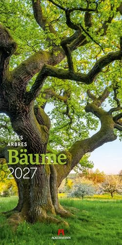 Bäume Kalender 2027 | Stilsicherer Natur-Kalender im schlanken Hochformat (33x66 cm) | Laubbäume und Nadelbäume, Wälder und Alleen