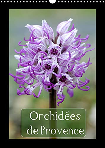 Orchidées de Provence (Calendrier mural 2022 DIN A3 vertical): Orchidées rencontrées dans les Alpilles et le Luberon (Calendrier mensuel, 14 Pages )