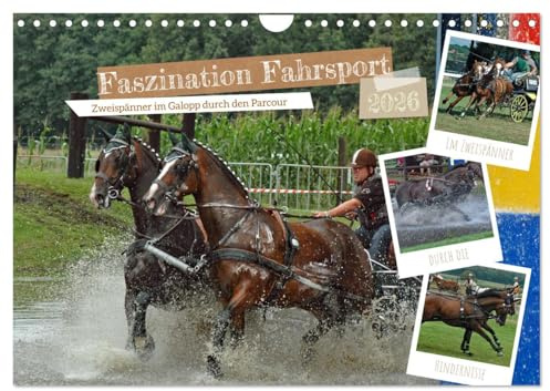 Faszination Fahrsport - Zweispänner im Galopp durch den Parcour (Wandkalender 2026 DIN A4 quer), CALVENDO Monatskalender: Hinein ins Abenteuer mit zwei Pferden und Kutsche (CALVENDO Sport)