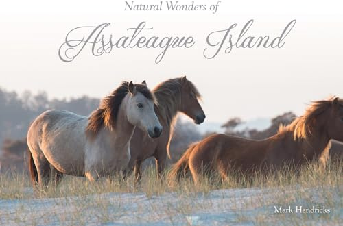 Natural Wonders of Assateague Island