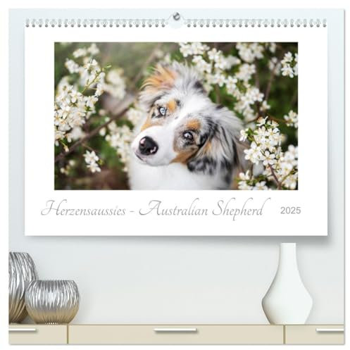 Herzensaussies - Australian Shepherd (hochwertiger Premium Wandkalender 2025 DIN A2 quer), Kunstdruck in Hochglanz: Aussies- fotografiert von Madlen Kudla (CALVENDO Tiere)