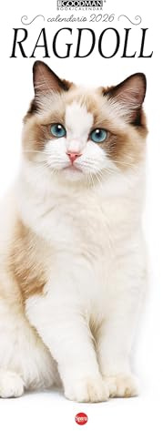 Ragdoll. Calendario 2026. Long (Lisa Goodman Long)