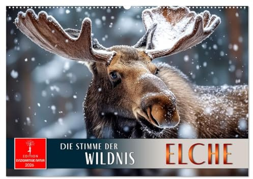 Elche - die Stimme der Wildnis (Wandkalender 2026 DIN A2 quer), CALVENDO Monatskalender: Die nordischen Könige des Waldes in Szene gesetzt. (CALVENDO Tiere)