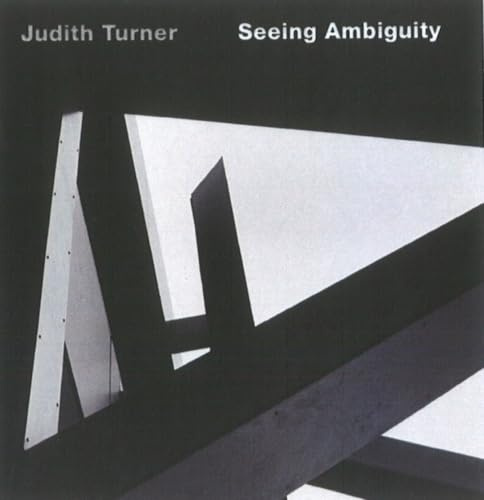Seeing Ambiguity: Photographs of Architecture