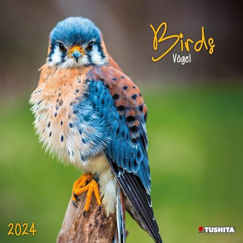 Birds in our Garden 2024: Kalender 2024