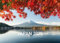 360° Japan Exklusivkalender 2025 (360° Exklusivkalender 2025: Limited Edition (70 x 50 cm))