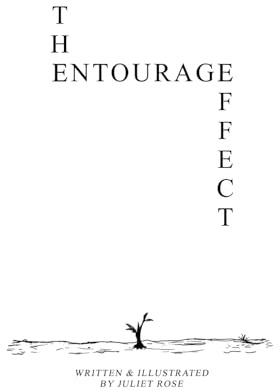 The Entourage Effect
