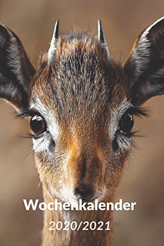 Wochenkalender 2020/2021: A5 Kalender mit Praktischer Wochenübersicht für die Organisation deiner Termine I Jahreskalender mit viel Raum für Notizen