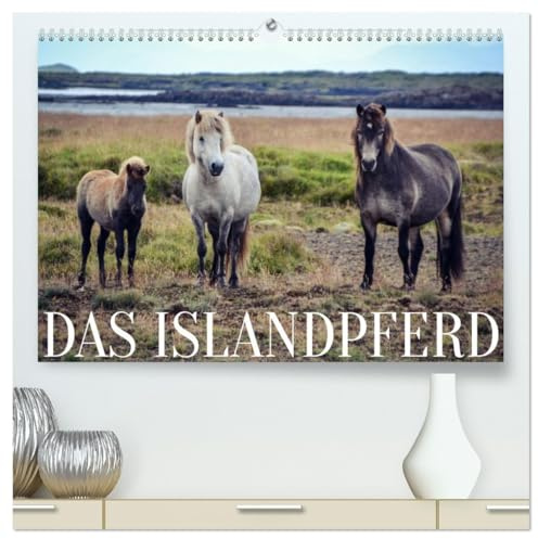 Das Islandpferd (hochwertiger Premium Wandkalender 2026 DIN A2 quer), Kunstdruck in Hochglanz: Entdecke die Schönheit der robusten Islandpferde in ihrer wilden und rauen Heimat. (CALVENDO Tiere)