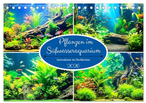 Pflanzen im Süßwasseraquarium. Gartenkunst im Fischbecken (Tischkalender 2026 DIN A5 quer), CALVENDO Monatskalender: Faszinierende Unterwassergärten ... Aquariumbepflanzung (CALVENDO Hobbys)