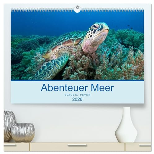 Abenteuer Unterwasser (hochwertiger Premium Wandkalender 2026 DIN A2 quer), Kunstdruck in Hochglanz: Unterwasseraufnahmen aus den tropischen Gewässern ... (Raja Ampat), Bali und Fiji (CALVENDO Tiere)