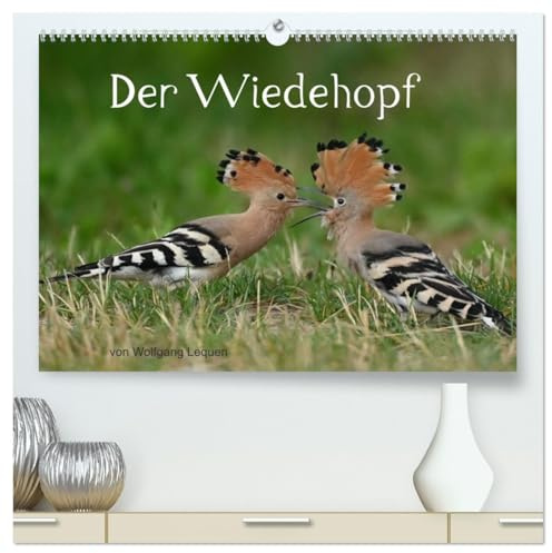 Der Wiedehopf (hochwertiger Premium Wandkalender 2026 DIN A2 quer), Kunstdruck in Hochglanz: Sehr seltene Aufnahmen von dem Vogel mit der Haube. (CALVENDO Tiere)