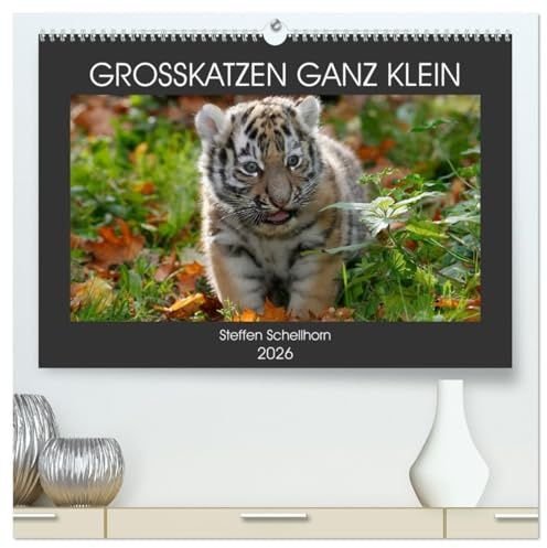 GROSSKATZEN GANZ KLEIN (hochwertiger Premium Wandkalender 2026 DIN A2 quer), Kunstdruck in Hochglanz: süsse Raubkatzenbabies im Porträt (CALVENDO Tiere)
