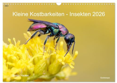 Kleine Kostbarkeiten Insekten (Wandkalender 2026 DIN A3 quer), CALVENDO Monatskalender (CALVENDO Tiere)
