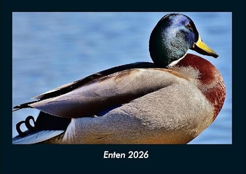 Enten 2026 Fotokalender DIN A4: Monatskalender mit Bild-Motiven von Haustieren, Bauernhof, wilden Tieren und Raubtieren