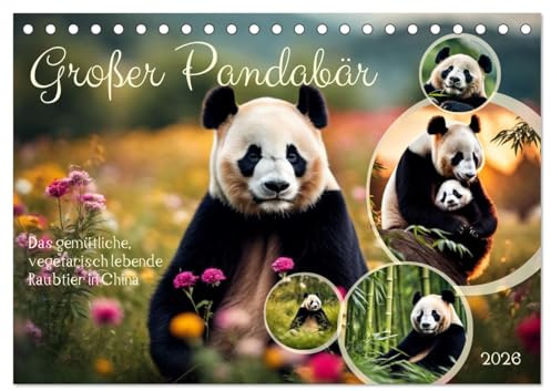 Großer Pandabär (Tischkalender 2026 DIN A5 quer), CALVENDO Monatskalender: Das gemütliche, vegetarisch lebende Raubtier in China (CALVENDO Tiere)