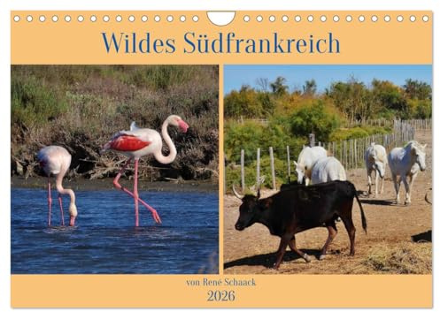 Wildes Südfrankreich (Wandkalender 2026 DIN A4 quer), CALVENDO Monatskalender: Einzigartige Tiere und Vögel der Provence (CALVENDO Tiere)