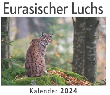 Eurasischer Luchs (Wandkalender 2024, Kalender DIN A4 quer, Monatskalender im Querformat mit Kalendarium, Das perfekte Geschenk)