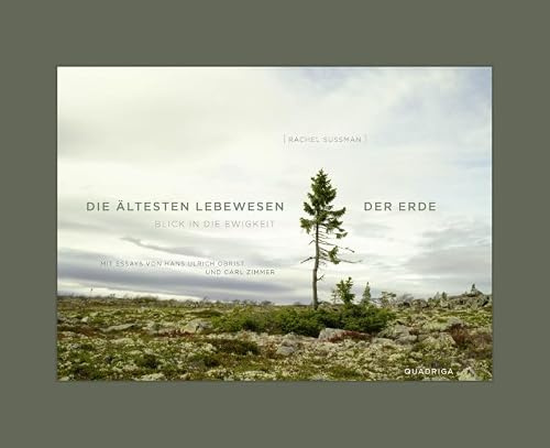 Die ältesten Lebewesen der Erde