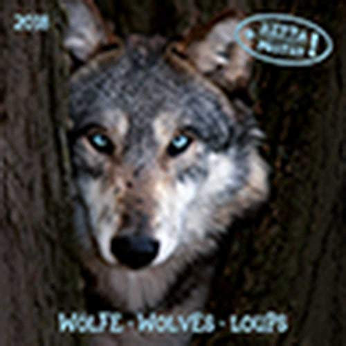 Wolves/Wölfe 2020: Kalender 2020 (Artwork Edition)