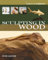 Sculpting in Wood: The Basics of Sculpture
