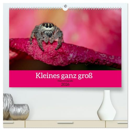 Kleines ganz groß - Makrofotografie (hochwertiger Premium Wandkalender 2026 DIN A2 quer), Kunstdruck in Hochglanz: Makrofotografie von Insekten (CALVENDO Tiere)