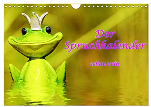 Spruchkalender - schau rein (Wandkalender 2026 DIN A4 quer), CALVENDO Monatskalender: Motivierende Sprüche - wunderschöne Bilder (CALVENDO Kunst)