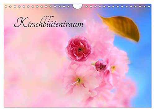 Kirschblütentraum (Wandkalender 2026 DIN A4 quer), CALVENDO Monatskalender: Kirschblüten - Botschaften der Schönheit (CALVENDO Natur)