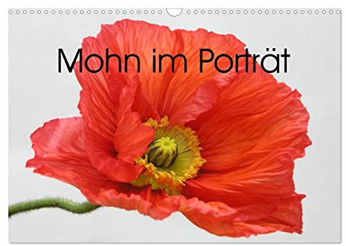 Mohn im Porträt (Wandkalender 2026 DIN A3 quer), CALVENDO Monatskalender: 1 Jahr lang Mohnblüten-Genuss (CALVENDO Natur)