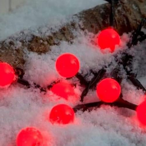 100 Indoor/Outdoor Battery Operated Red Berry Lights with Timer