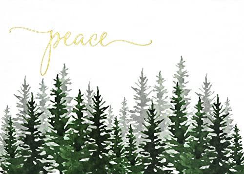 Winter Evergreens Holiday Cards