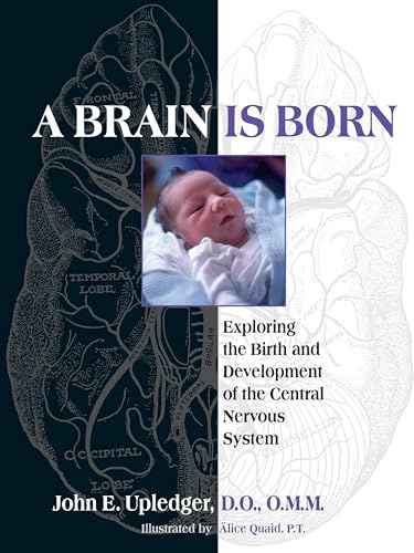 A Brain Is Born: Exploring the Birth and Development of the Central Nervous System