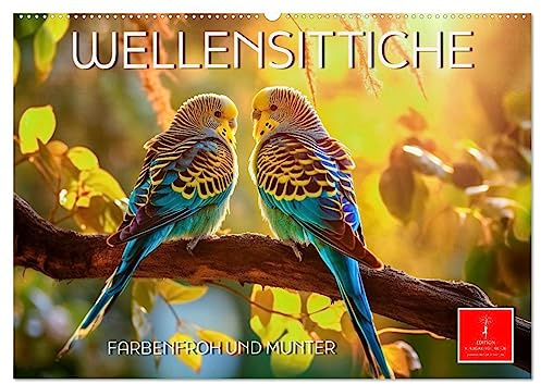 Wellensittiche farbenfroh und munter (Wandkalender 2026 DIN A2 quer), CALVENDO Monatskalender: Eindrucksvolle Bilder der beliebten Vögel. (CALVENDO Tiere)