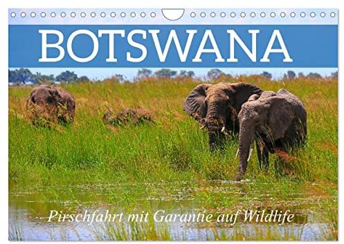 Botswana- Pirschfahrt mit Garantie auf Wildlife (Wandkalender 2026 DIN A4 quer), CALVENDO Monatskalender: Die Tiervielfalt als Selbstfahrer erleben (CALVENDO Tiere)