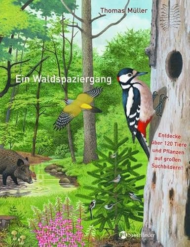 Ein Waldspaziergang (Sauerländer Kindersachbuch)