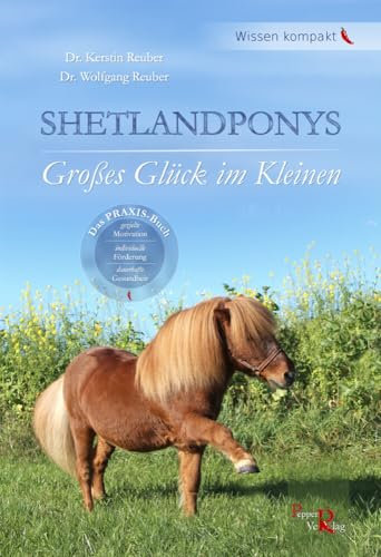 SHETLANDPONYS: Großes Glück im Kleinen