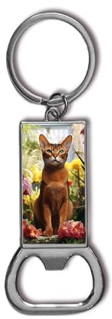 Décapsuleur Chat Abyssin