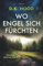 Wo Engel sich fürchten: Thriller (Detectives Kane und Alton, Band 5)